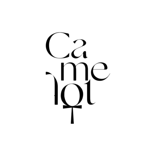 Medsport LLC. logo