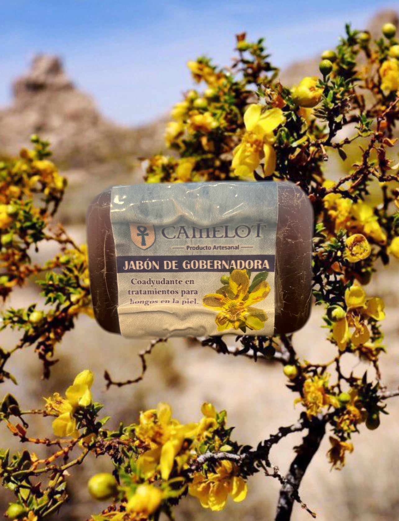 Camelot All Natural Govenors soap