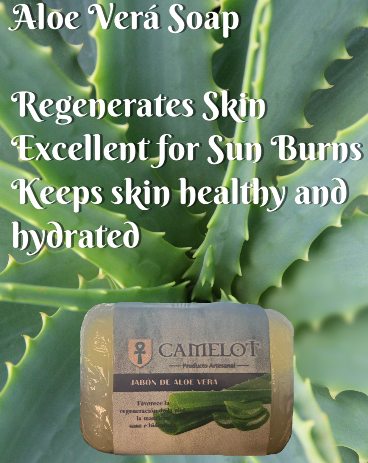 All Natural, Organic, Aloe Vera Soap. GMO- free. Camelots Aloe Vera soap helps regenerate skin. Excellent for keeping skin healthy and hydrated