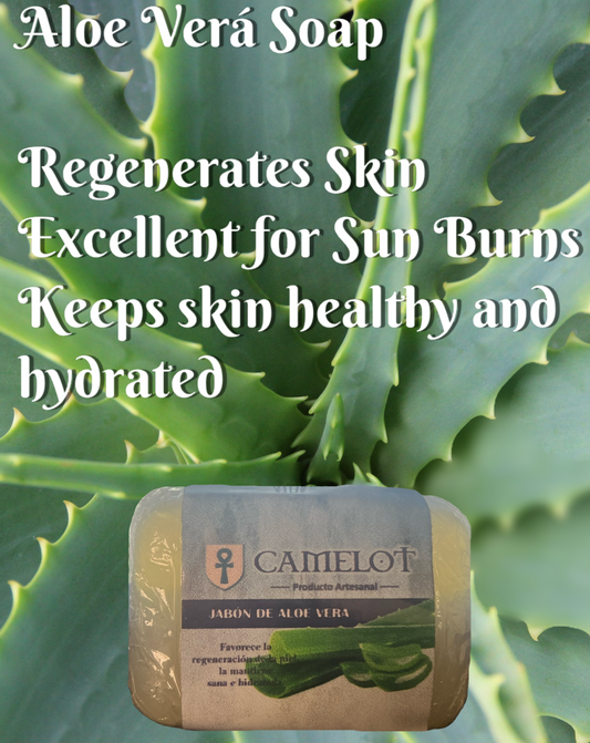 All Natural, Organic, Aloe Vera Soap. GMO- free. Camelots Aloe Vera soap helps regenerate skin. Excellent for keeping skin healthy and hydrated