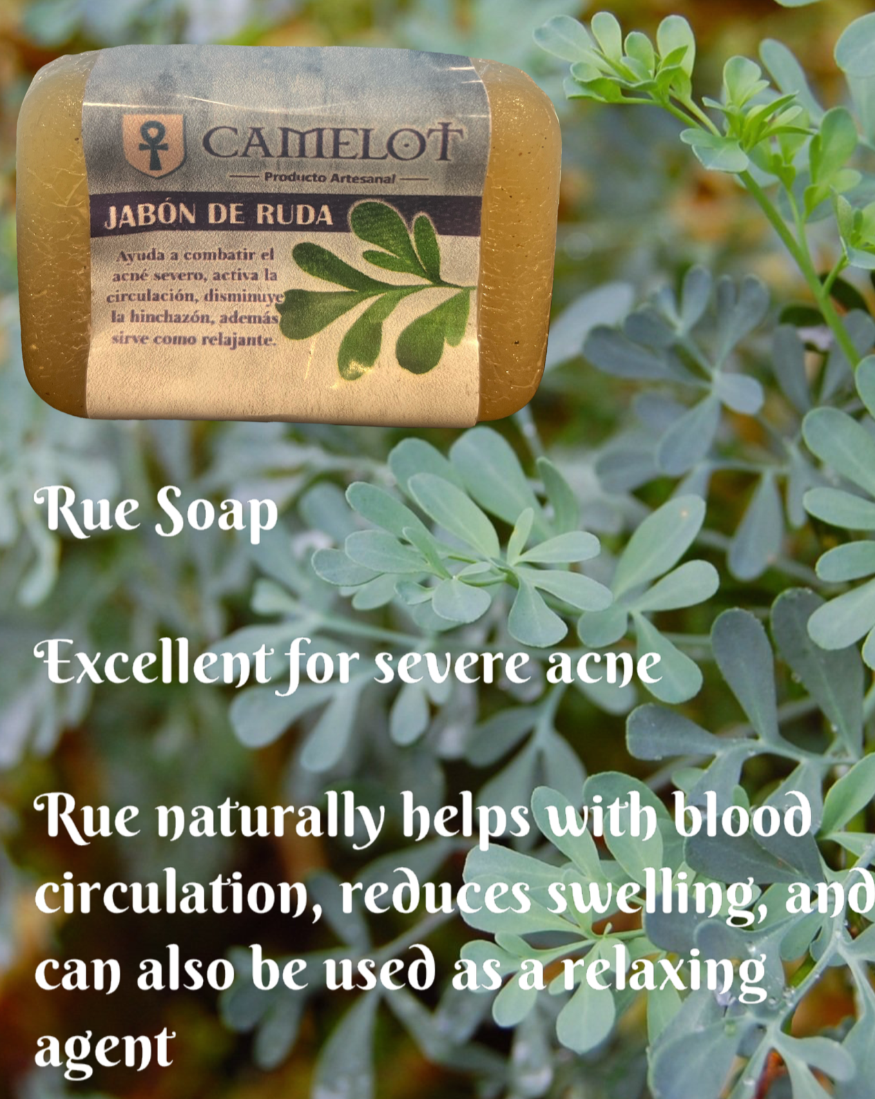 Rue soap